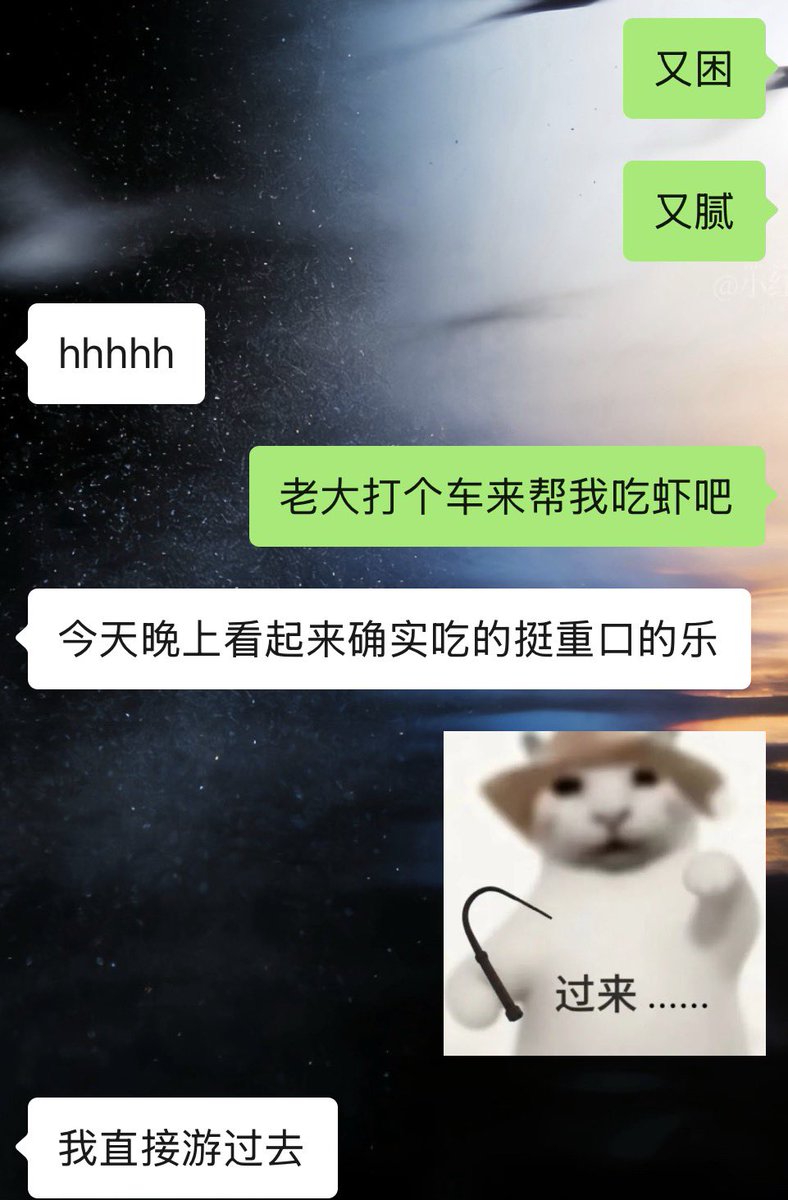 仓鼠2.0 tweet media