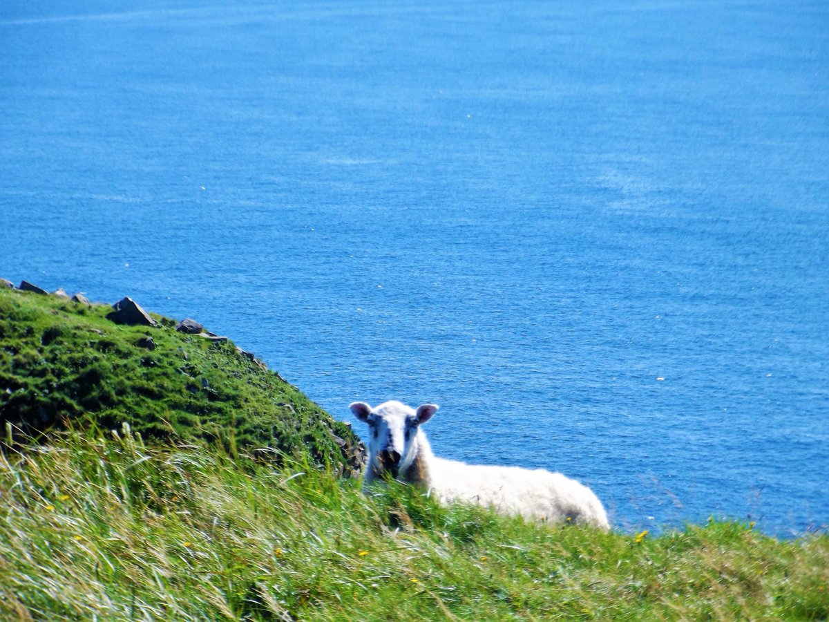 💚Force of Nature💚 tweet media