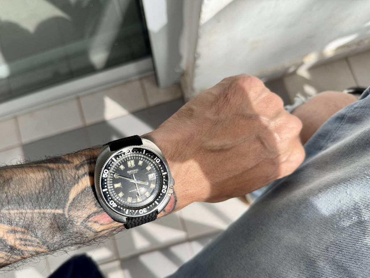 Alon Zvulun | ألون زڤولون tweet media