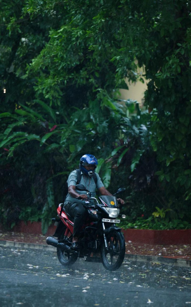 VIT_univ's tweet image. When the summer heat meets the evening rain, the campus feels like an aesthetic you just can't recreate.

Where is your favorite spot to watch the rain on campus?

#CampusAesthetic #RainyDays #Petrichor #GoldenHour #VellorelnstituteofTechnology