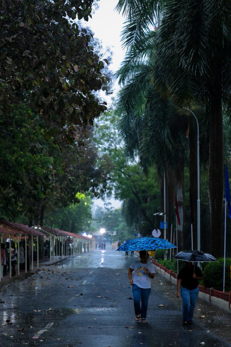VIT_univ's tweet image. When the summer heat meets the evening rain, the campus feels like an aesthetic you just can't recreate.

Where is your favorite spot to watch the rain on campus?

#CampusAesthetic #RainyDays #Petrichor #GoldenHour #VellorelnstituteofTechnology