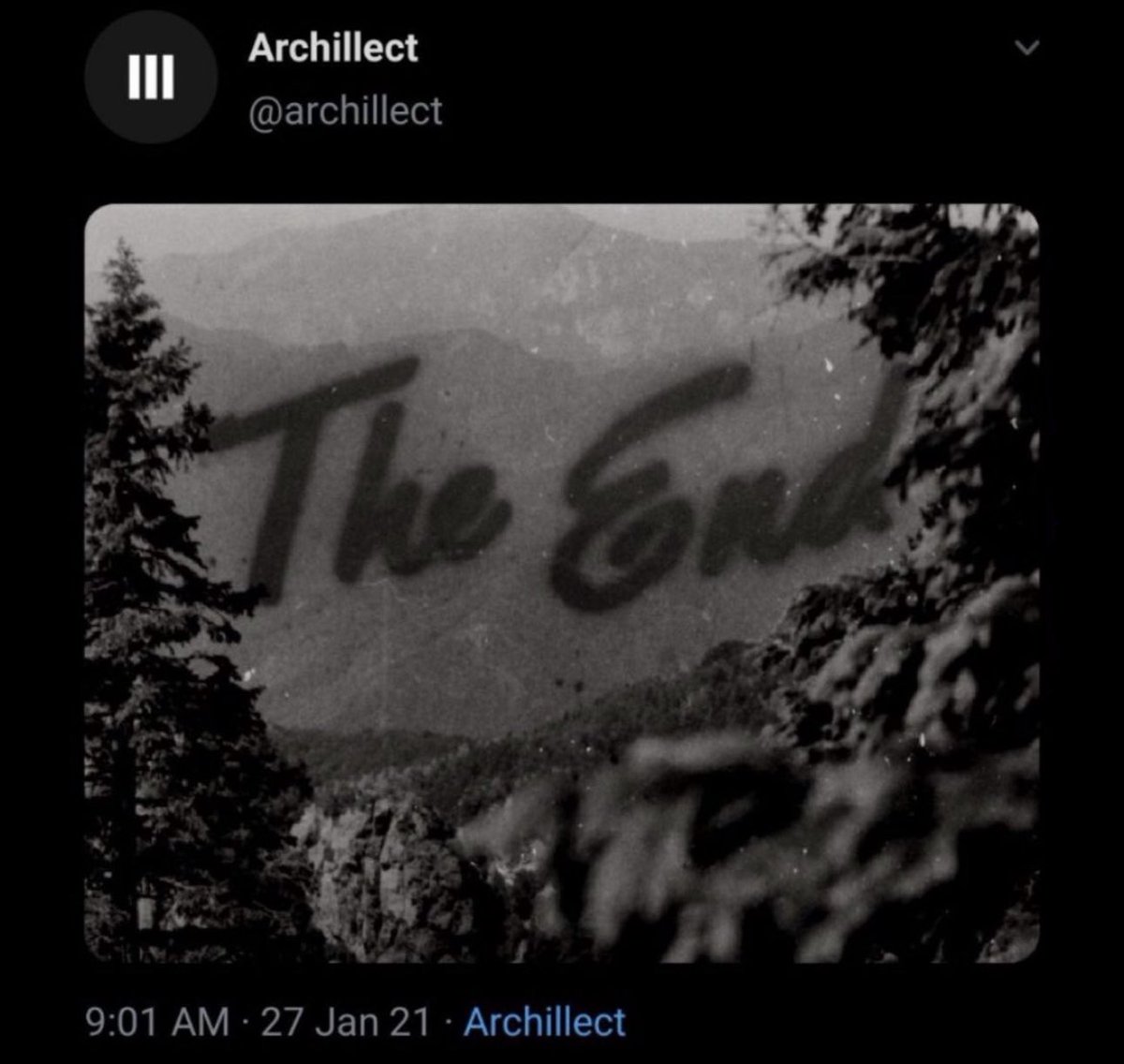 Freddie Zuiddam tweet media