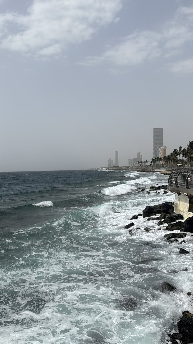 Re-L Mayer tweet media