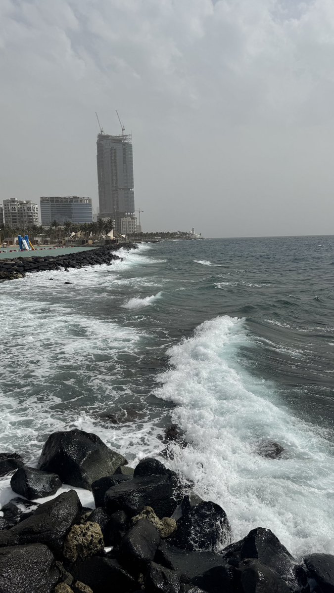 Re-L Mayer tweet media