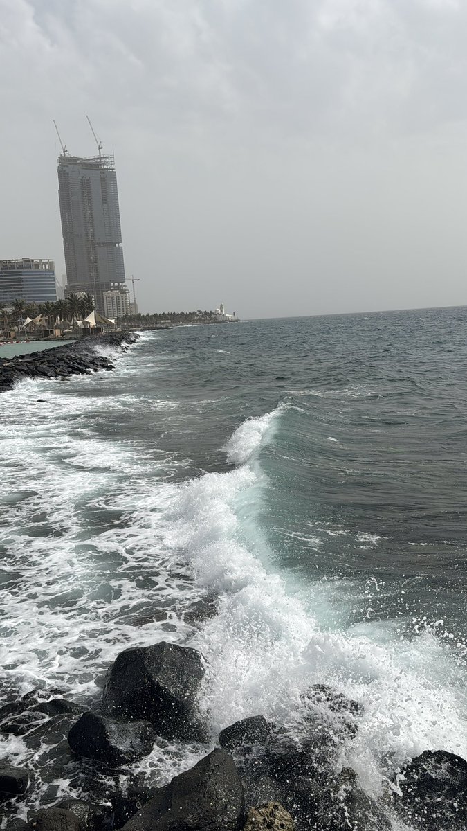 Re-L Mayer tweet media