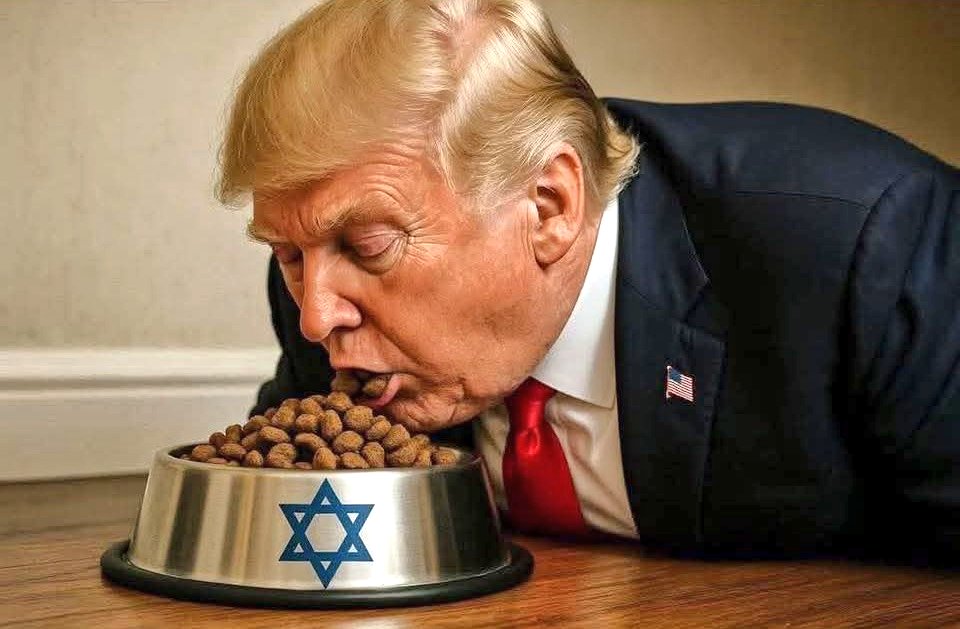 DerechaColombi1's tweet photo. @Geopolitik_2030 No solo el ejército gringo será destruido.
Su puta hegemonía imperial se fue a la mierda.
Debemos estar muy agradecidos con el hijo de puta marrano naranja megalomano pedofilo psicotico sirvienta del sionismo  Donald Trump que lo logró🤣🤣🤣🤣🤣
#DerechaAntiglobalistaColombiana https://t.co/3UbdNJpKsG