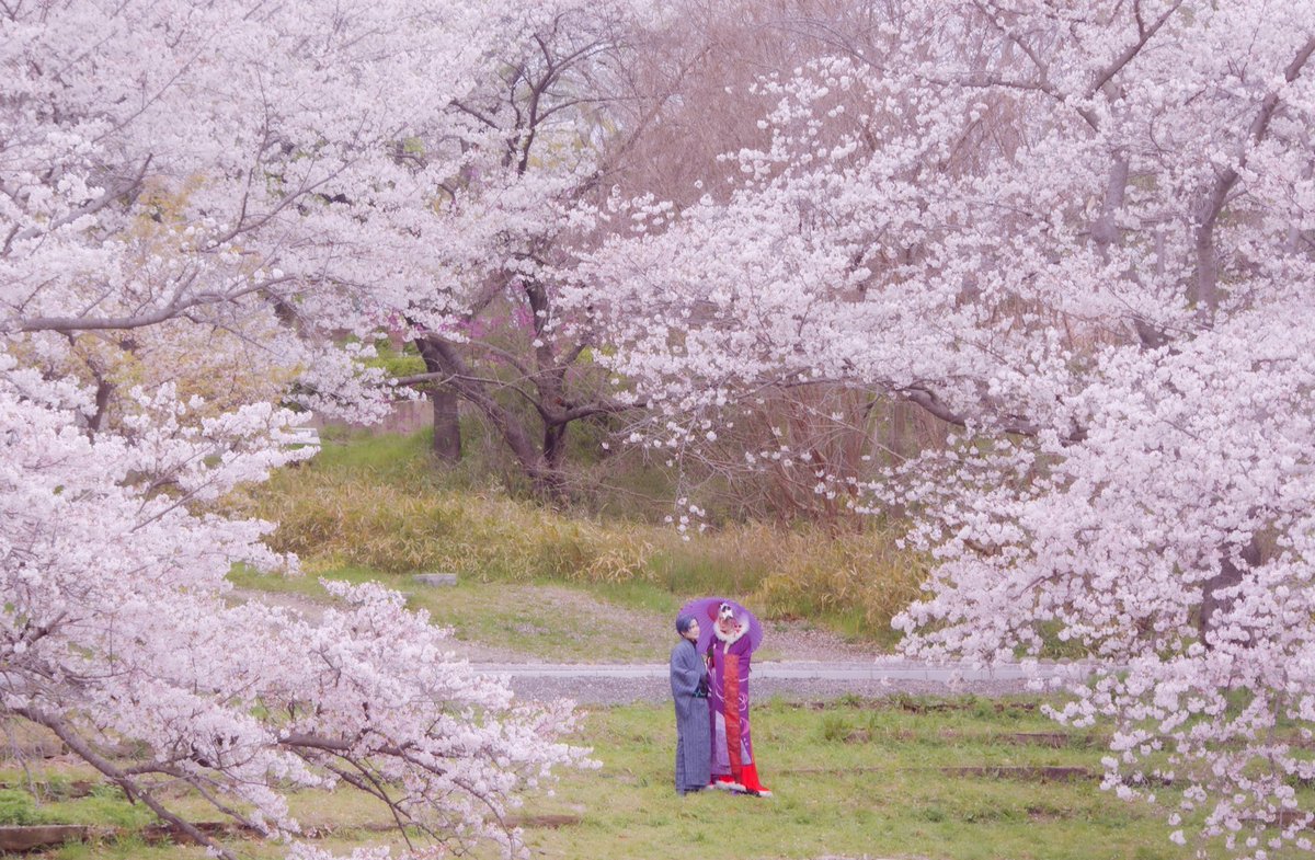 じゃみ tweet media