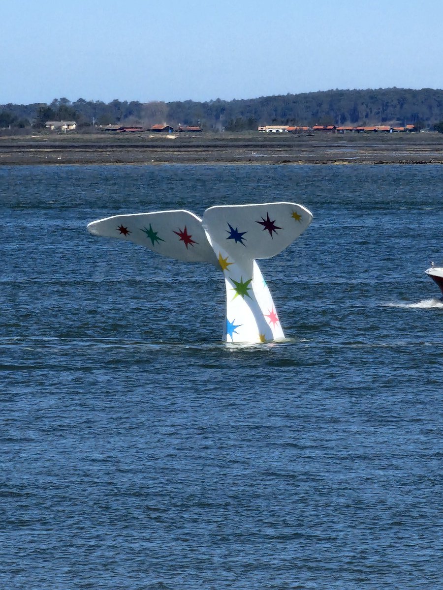 Missing fighter plane located off the coast of France