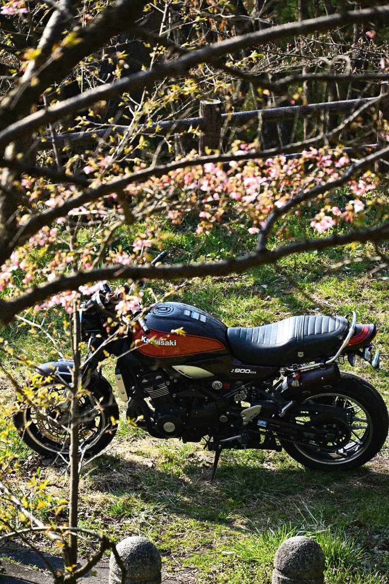 ココ&こじろー tweet media