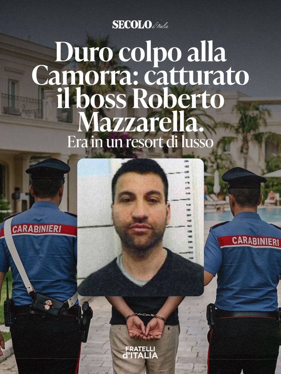 Fratelli d'Italia 🇮🇹 tweet media