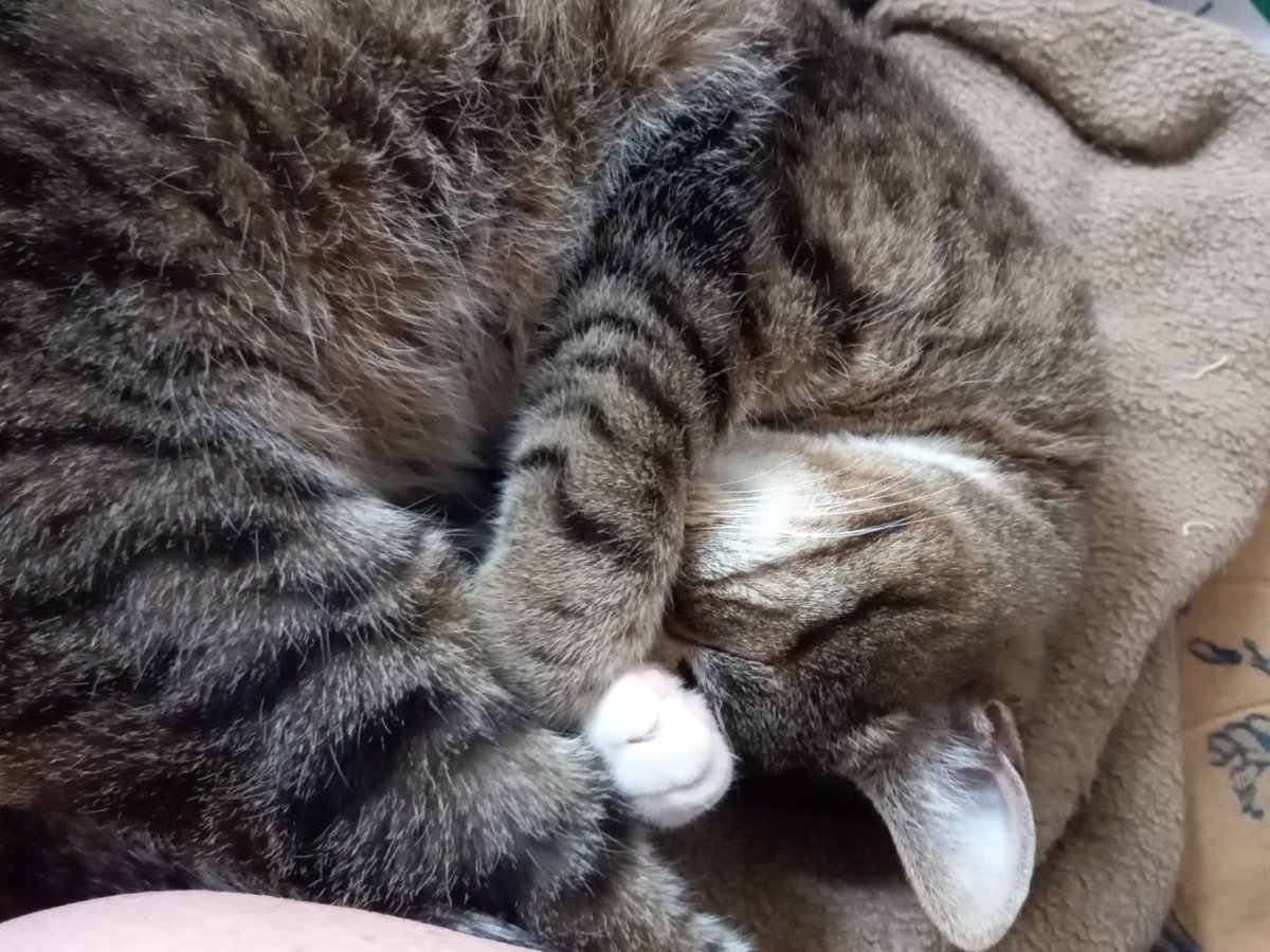 Erde&Sand tweet media