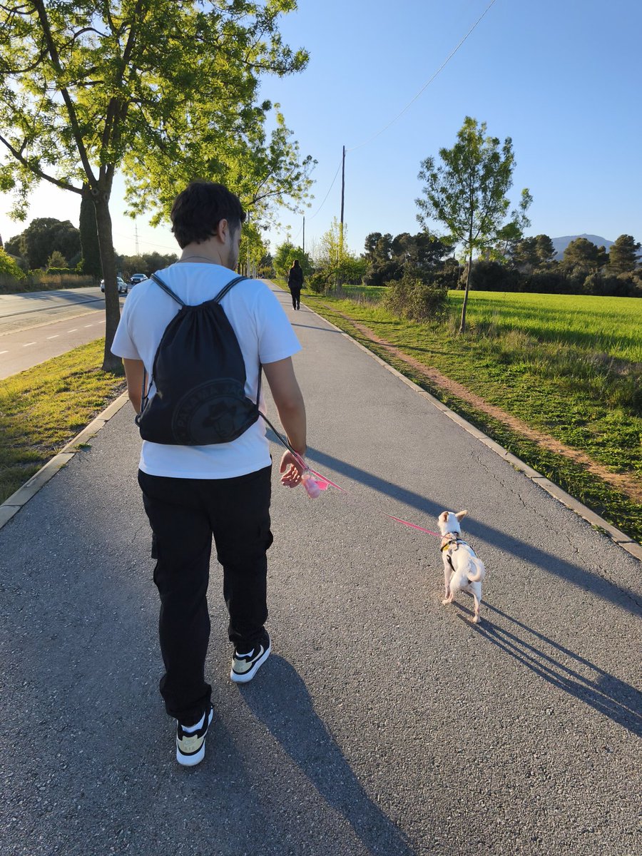 ⋆𝑖𝓃𝓂𝒶⋆ tweet media