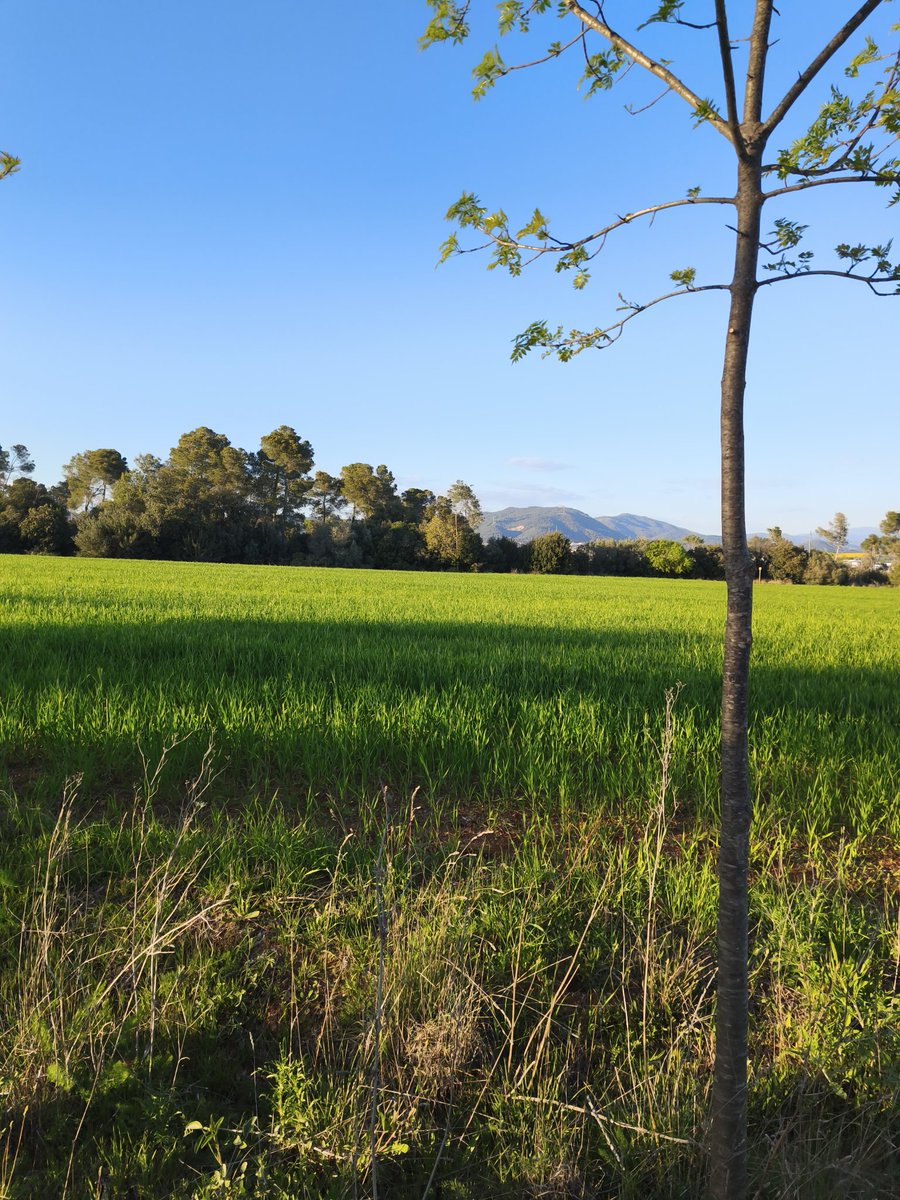 ⋆𝑖𝓃𝓂𝒶⋆ tweet media