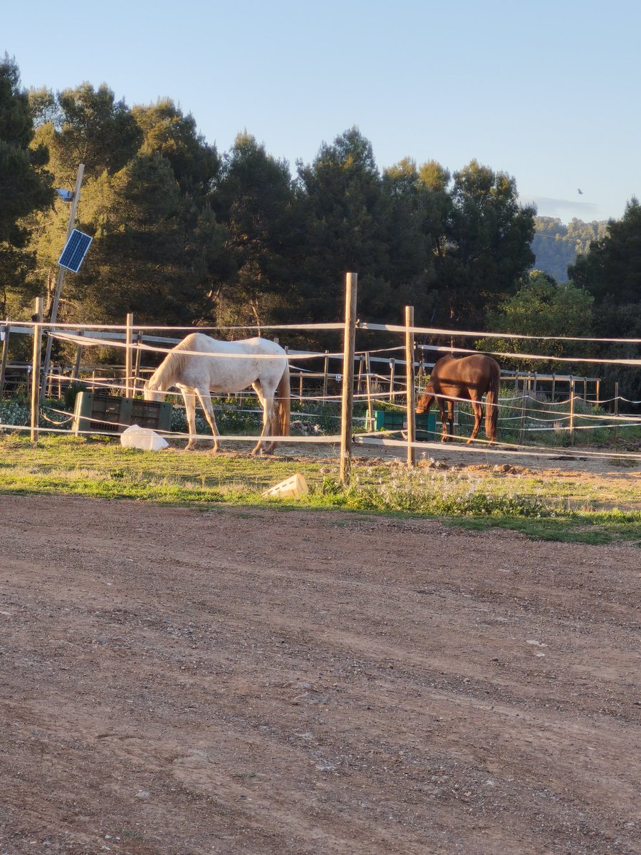 ⋆𝑖𝓃𝓂𝒶⋆ tweet media