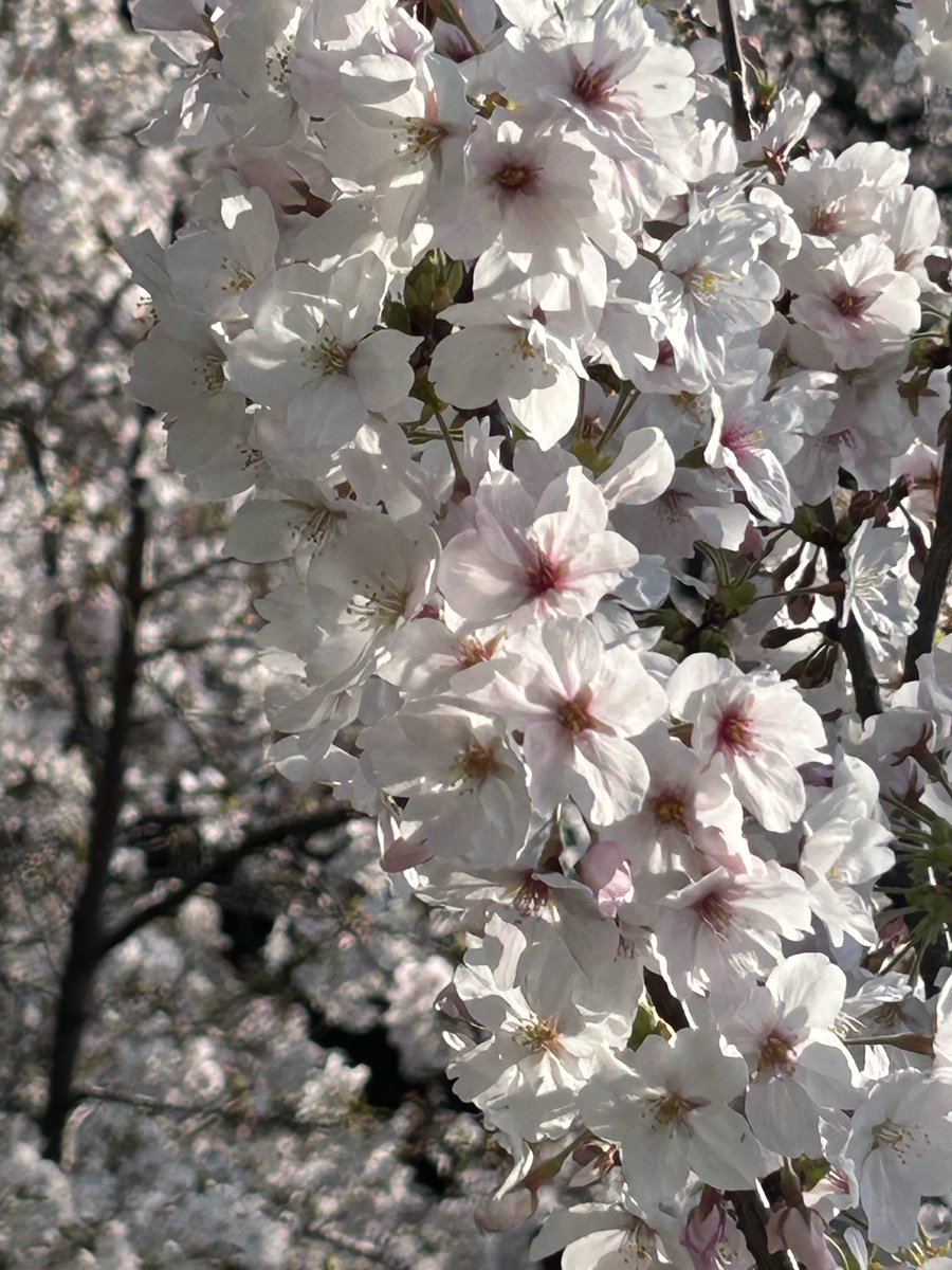 𝓡𝓲𝓷 tweet media