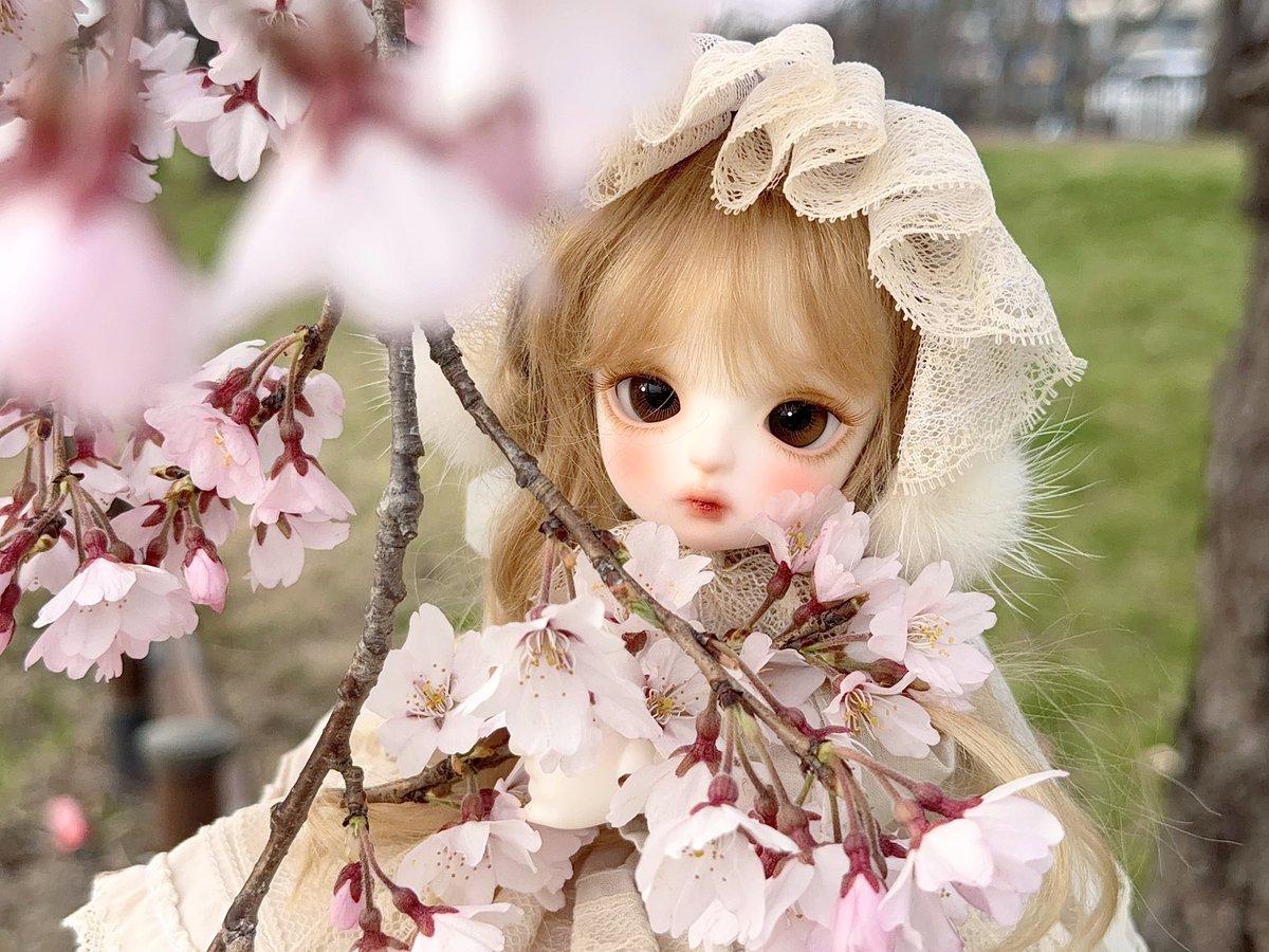 냐오 ೀ tweet media