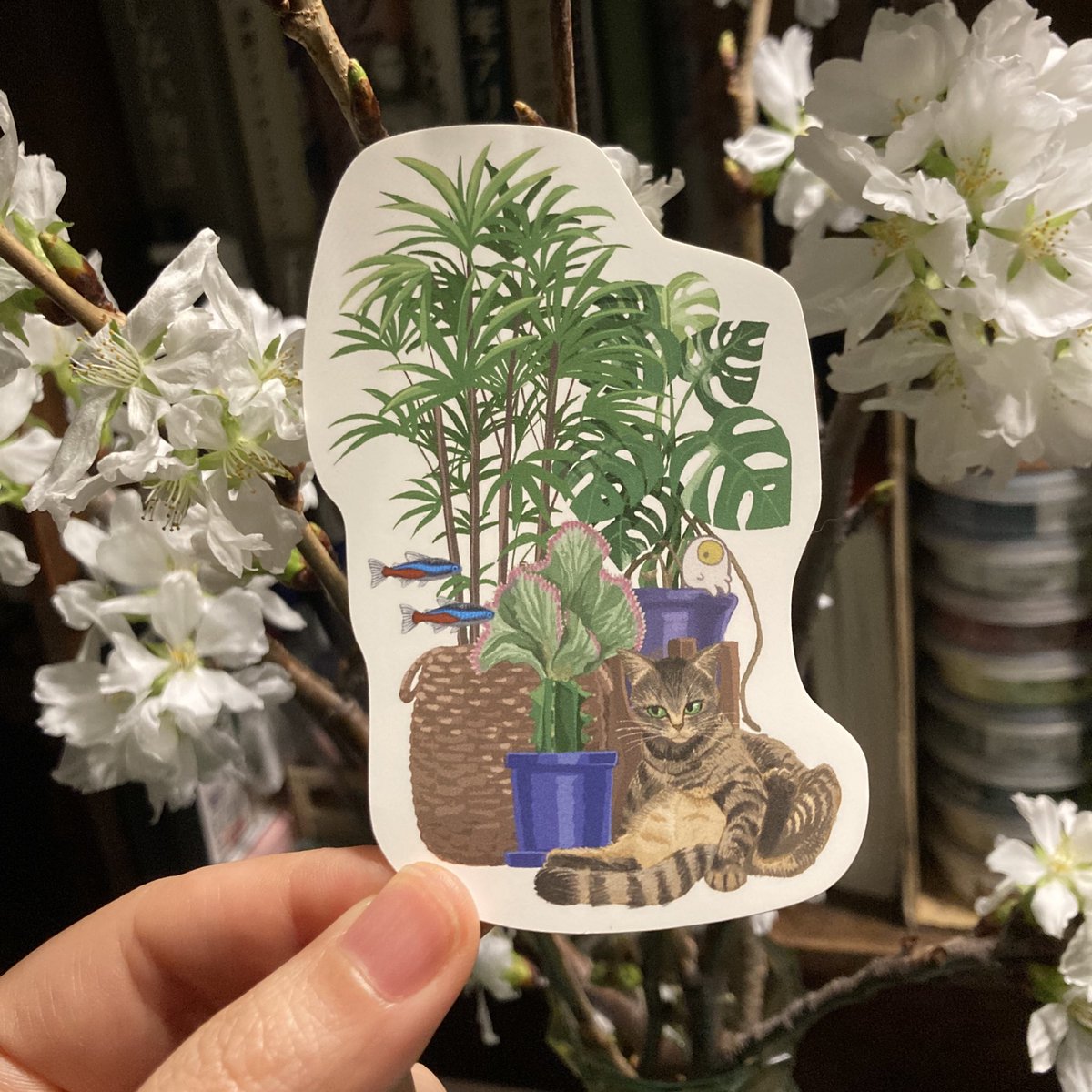 袋小路K♨️ tweet media