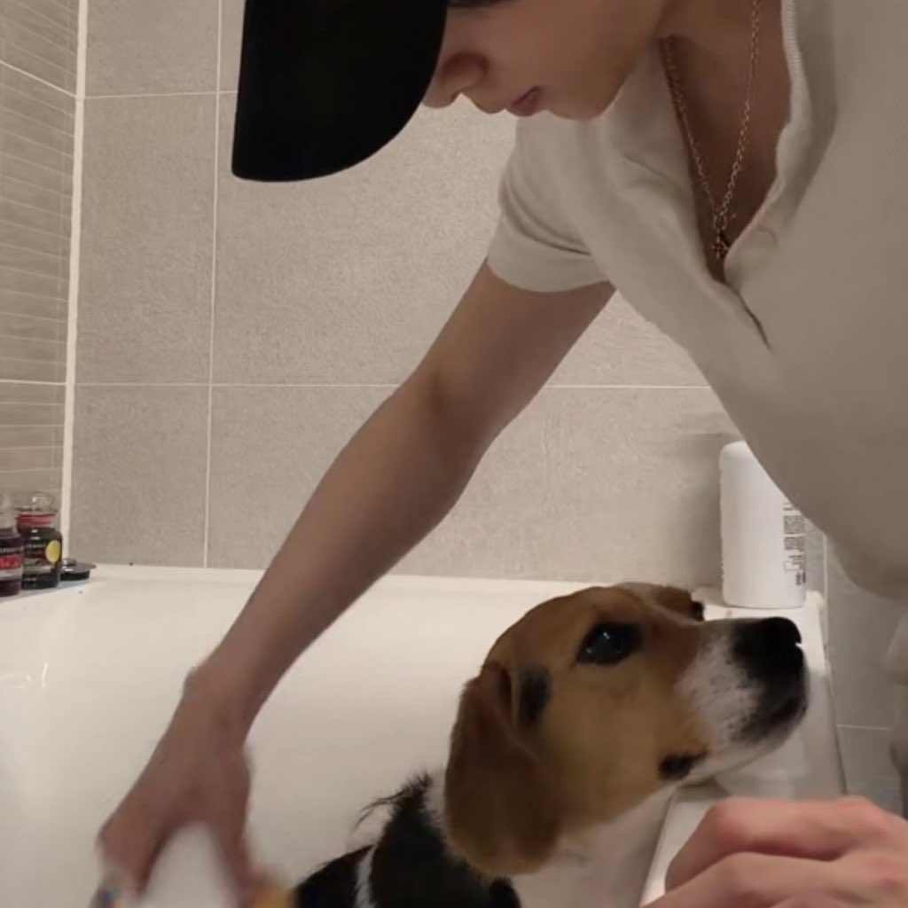 𝐥𝐮𝐥𝐮🐥 tweet media