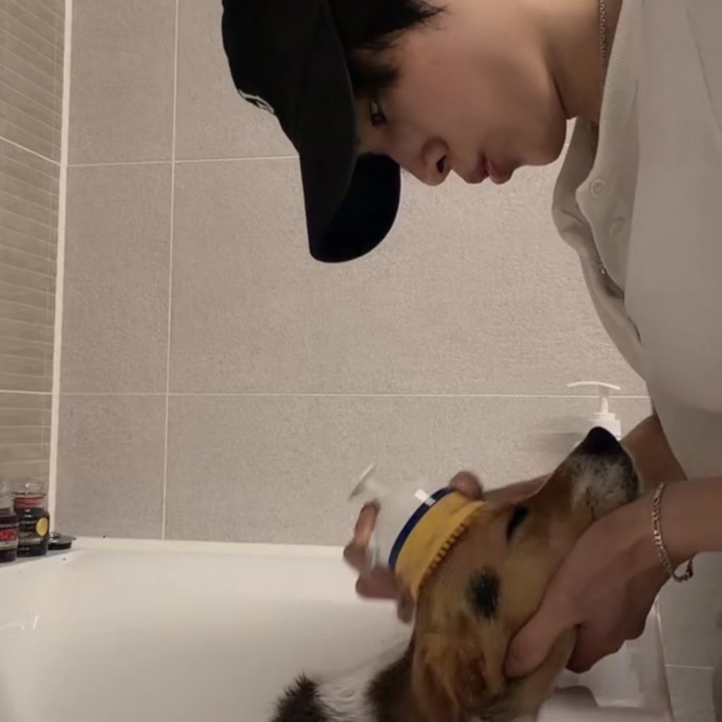 𝐥𝐮𝐥𝐮🐥 tweet media