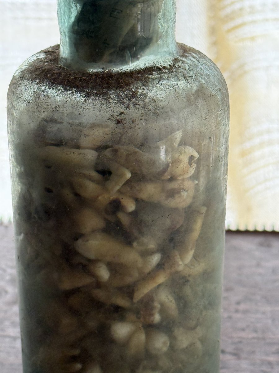 Daktilock tweet media