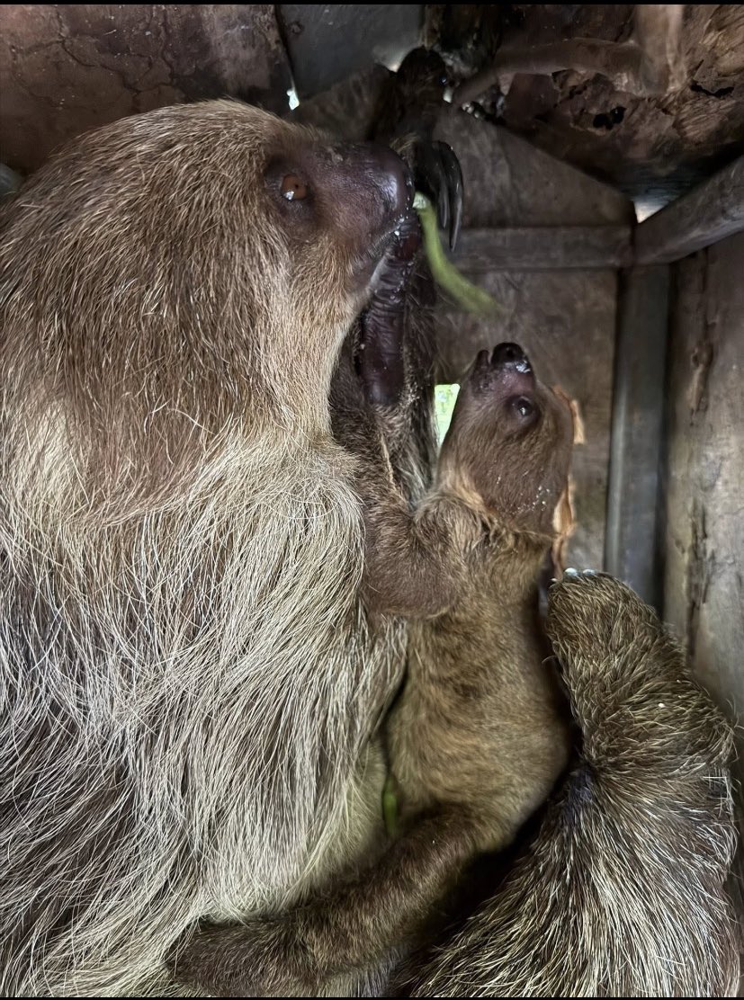 💰𝕭-𝕸𝖔𝖓𝖊𝖞 𝕮𝖗𝖞𝖕𝖙𝖔💰 tweet media