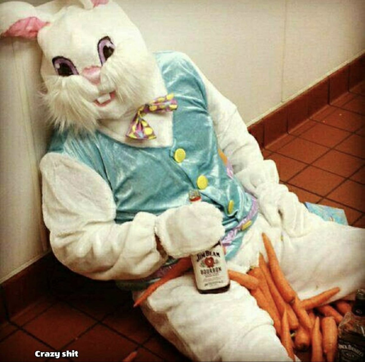 perrystone9's tweet photo. Damn, you Easter bunny! You drank all my booze again! https://t.co/2PfKAfNnNv
