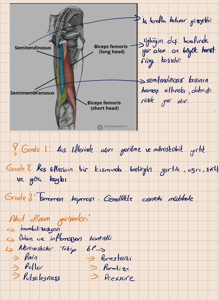 Lukaist🐰ྀི tweet media