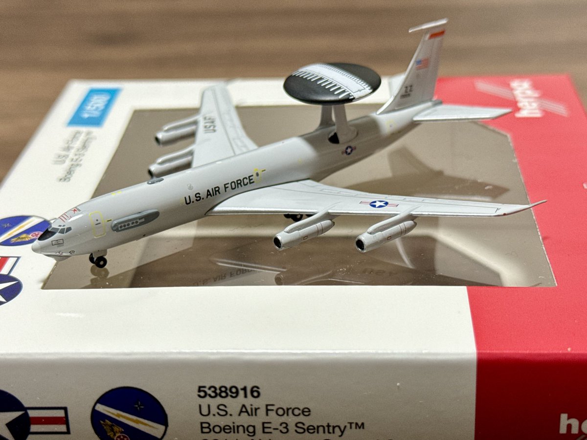 ハチハチ tweet media