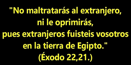 Alejandro Pose Mayayo tweet media