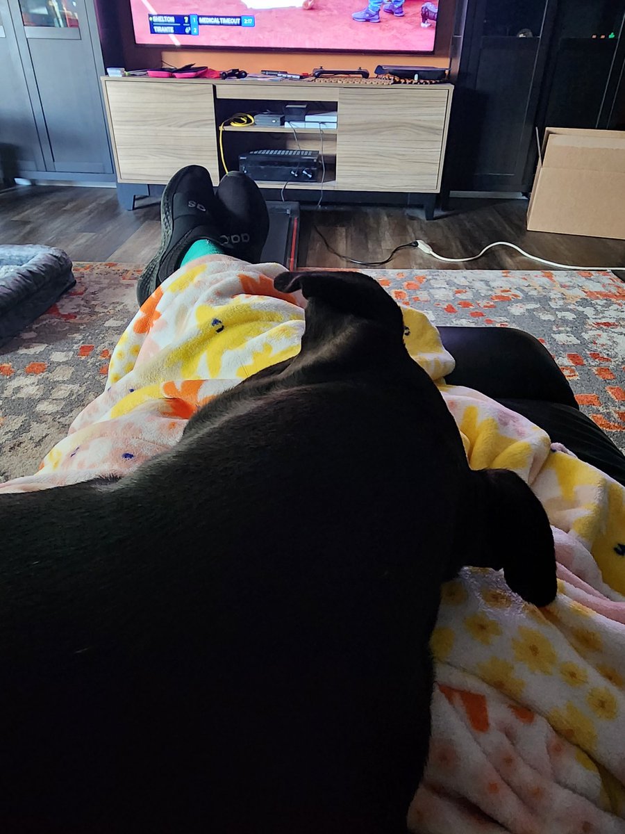 Isa B. 😷♓🎾🔥☔💨🦊🐇☕♻️🦔🐿️🦉🐣🦋🌸🌷🍒🦒🐒🐘🦈 tweet media