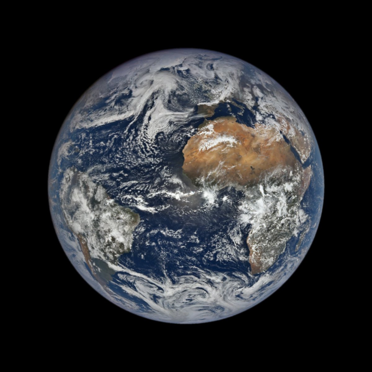 Michael McNeil tweet media