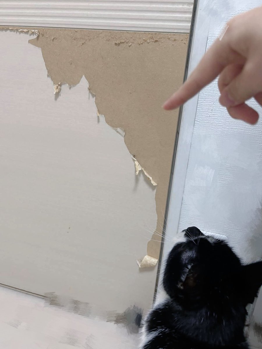 うつぎ tweet media