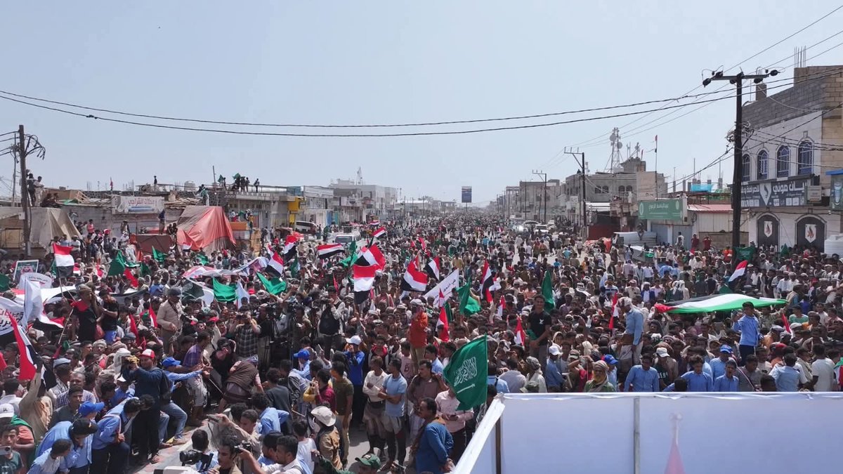 ابو عمير غباري tweet media