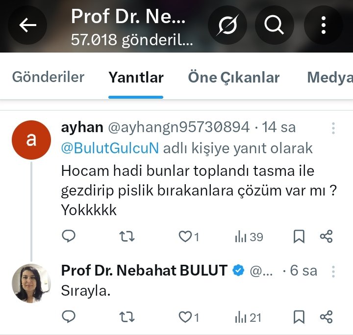 nurie deniz memoglu tweet media