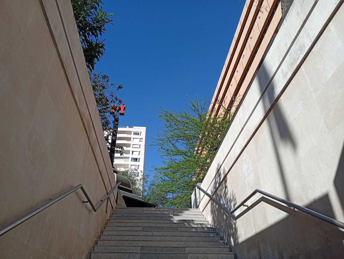 Rui_Zink tweet media