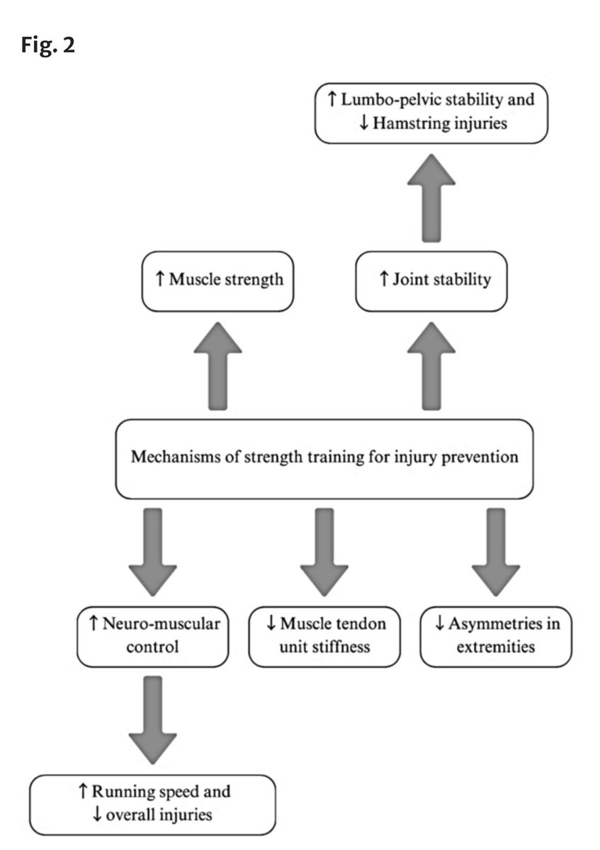 DelRealMartin2's tweet photo. Strength training as an effective strategy for injury prevention and performance enhancement in team sports: a scoping review

https://t.co/SQVxjWCoki https://t.co/AJRaWoYOQC