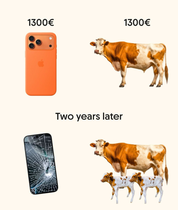 Tabraiz Shams tweet media