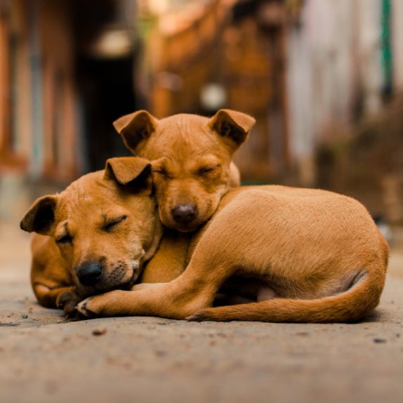 UpdateCharts tweet media