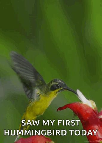 JLSMILES1 tweet media