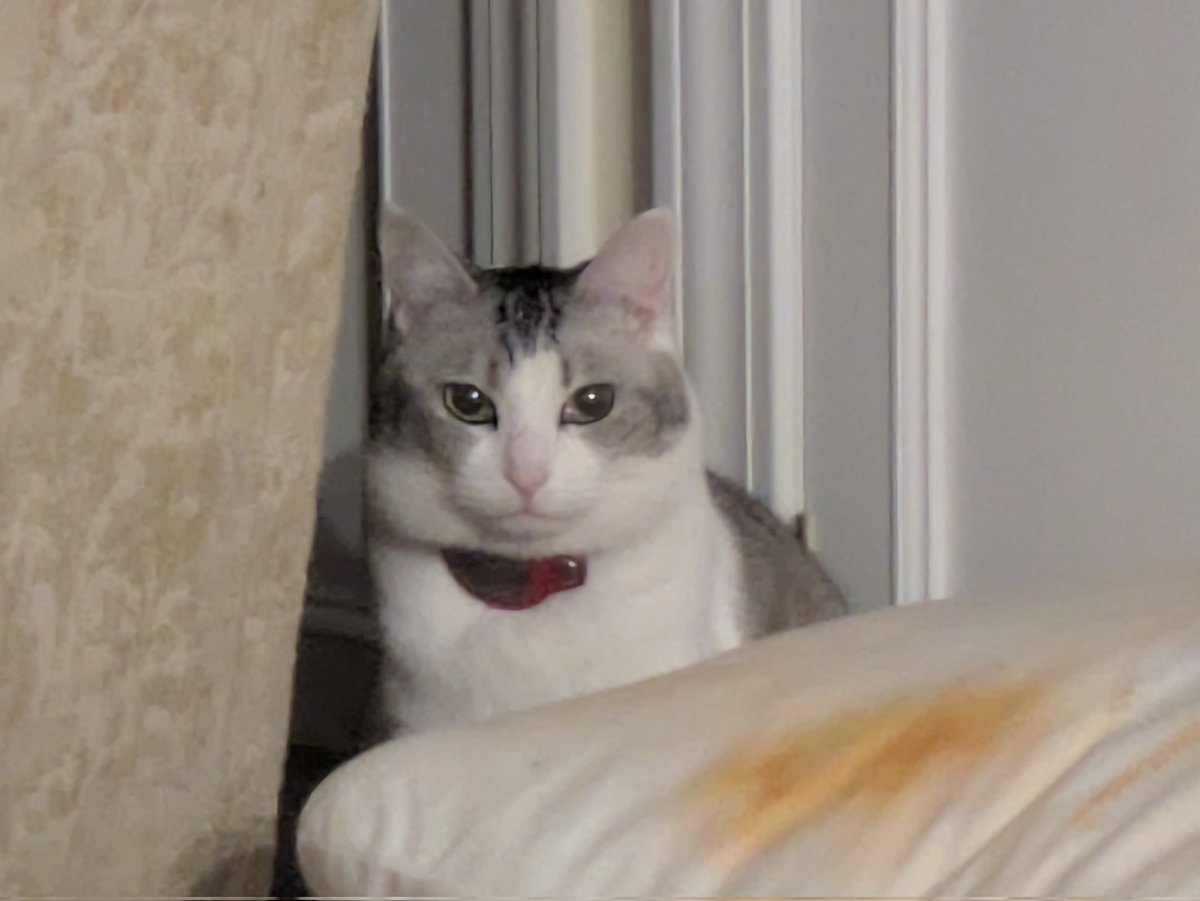 TakeHero🇯🇵🦜🏍️🏎️🐉@千里浜へGO！ tweet media