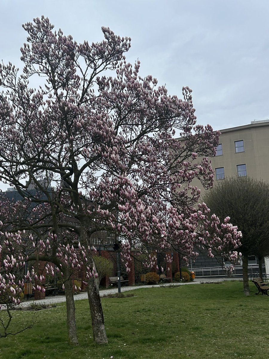 𝐤𝐚𝐭𝐞 ⋆𐙚 tweet media