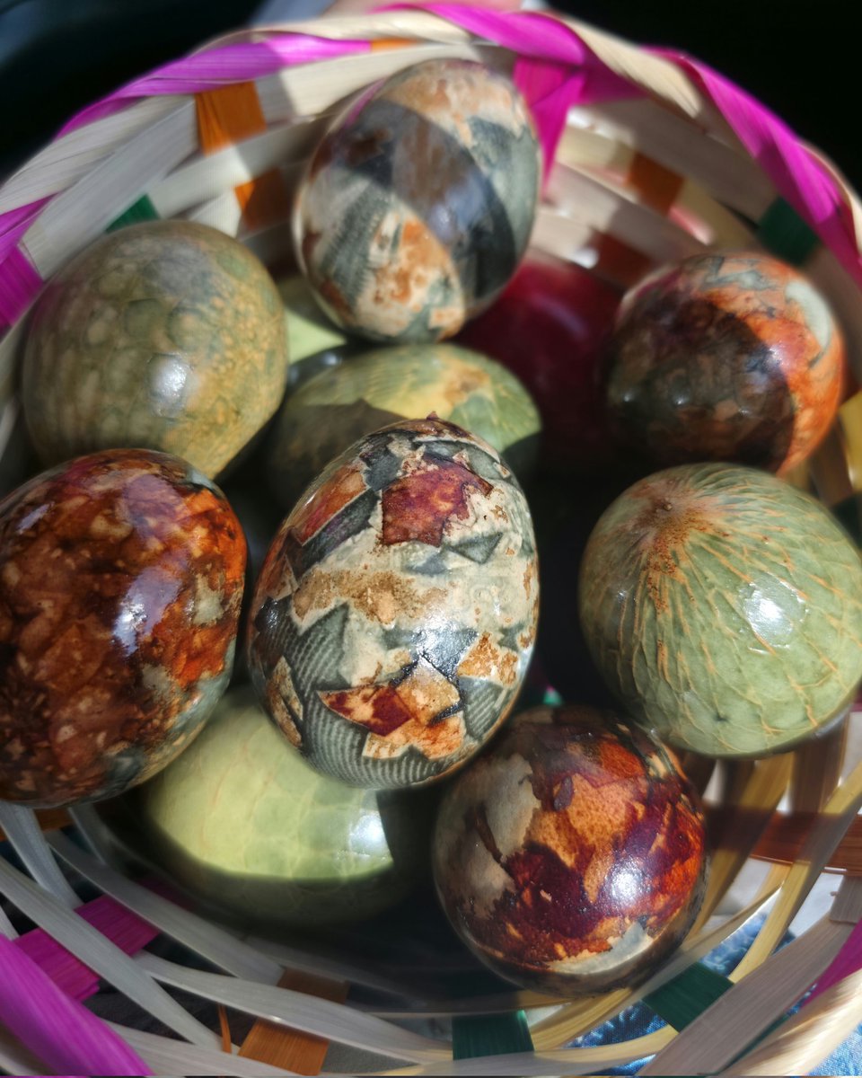 𝕀𝕟𝕤𝕚𝕝𝕚𝕔𝕠 Very poor & Very stupid tweet media