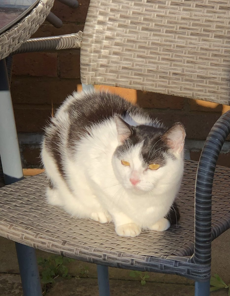 Natalie Lisa Hones tweet media