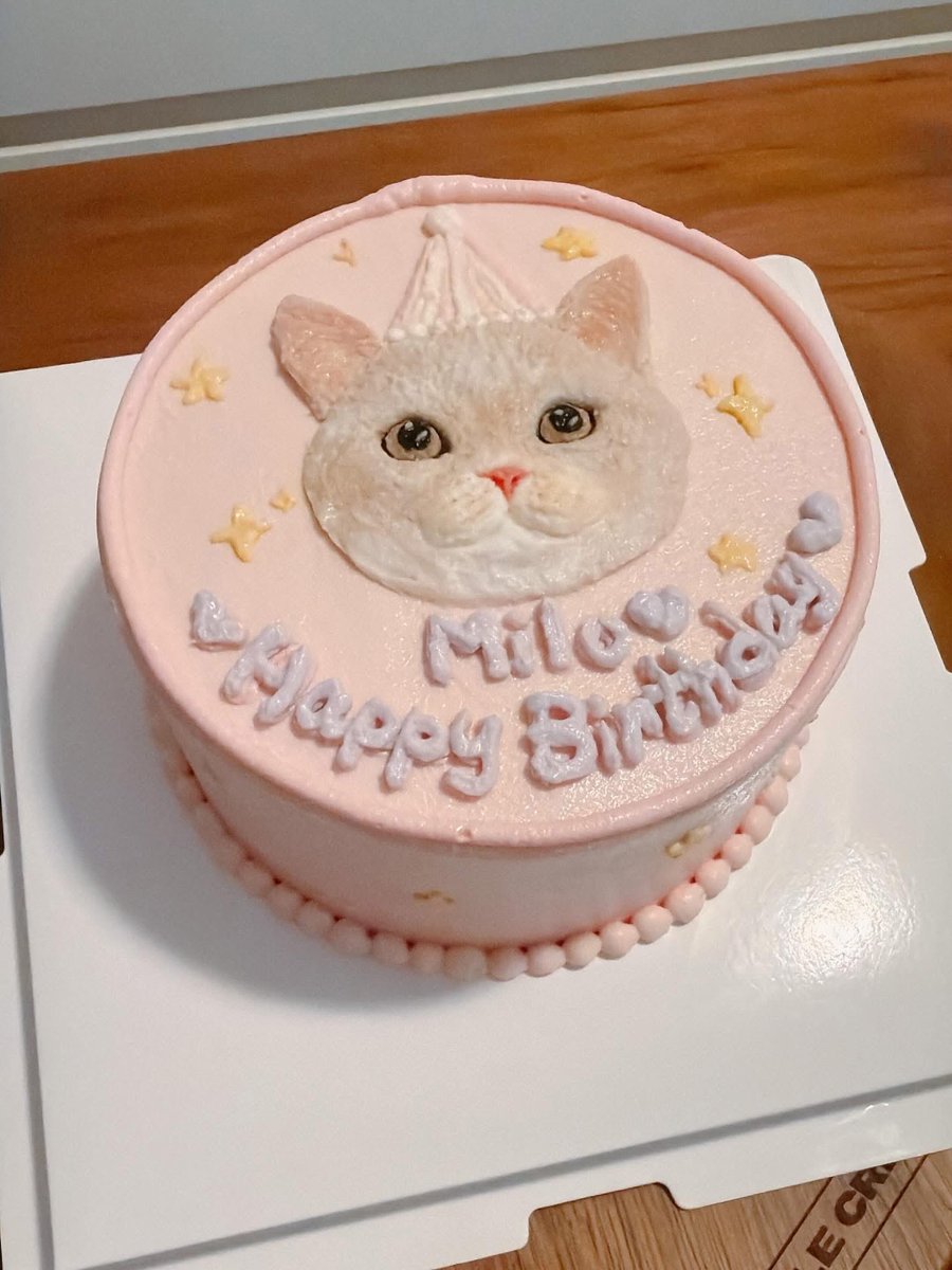 i_am_littlemilo's tweet photo. ฅ(՞⸝⸝ɞ̴̶̷ ‧̫ ʚ̴̶̷̷⸝⸝՞)ฅ 
☆*⋆⸜ ℍ𝚊𝚙𝚙𝚢 𝔹𝚒𝚛𝚝𝚑𝚍𝚊𝚢 𝕥𝚘 𝕄𝚒𝚕𝚘 ⸝⋆*☆
Ꭲʰᵃⁿᵏˢ ϋ @Toothless Cakery

#LittleMilo #littlemilo #munchkin #meow #birthdaycat

Instagram: https://t.co/g5pTnxOMak
Facebook: https://t.co/bz80vZc6nU
Threads: https://t.co/eSD2pp7m5x https://t.co/xgZlGjqhnx
