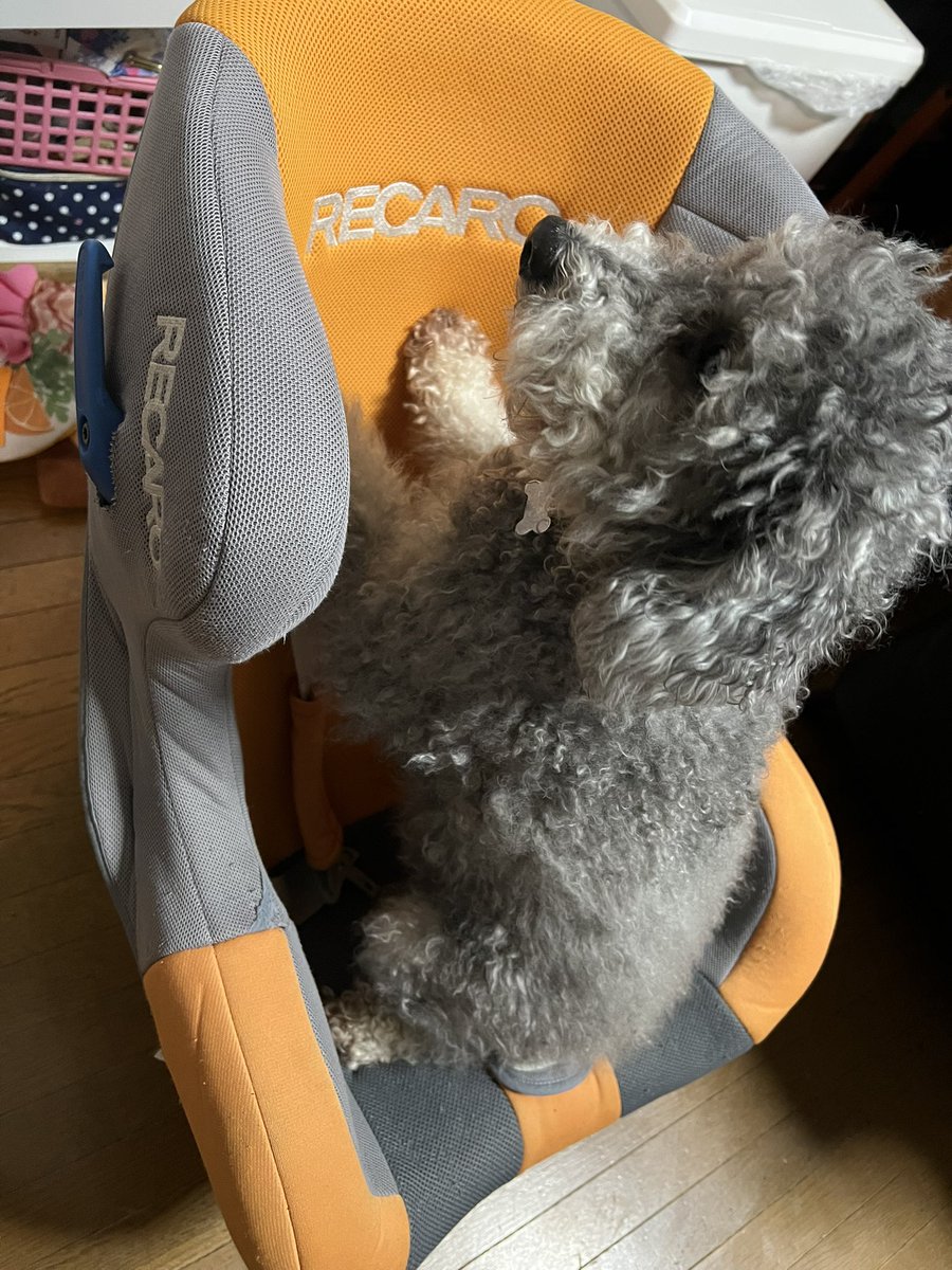Jb3104's tweet photo. カバー外して洗ったら組み立てられなくなっちゃったけど チャイルドシートいる？って 妹が 持って来てくれたので 組み直し＆クリーニング😬
娘のクルマが増えたら必要だったから 丁度良かった👍🏻 https://t.co/hTPWIgnfou