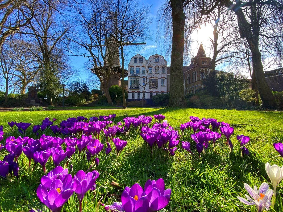 ZoGouds.nl tweet media