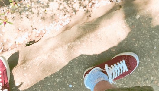 mimi-usagi ⁷ 🐨swim💙 tweet media