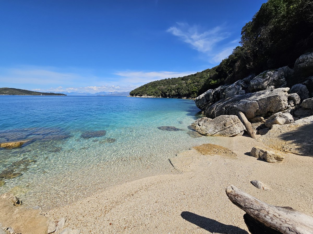 theo jacobs tweet media