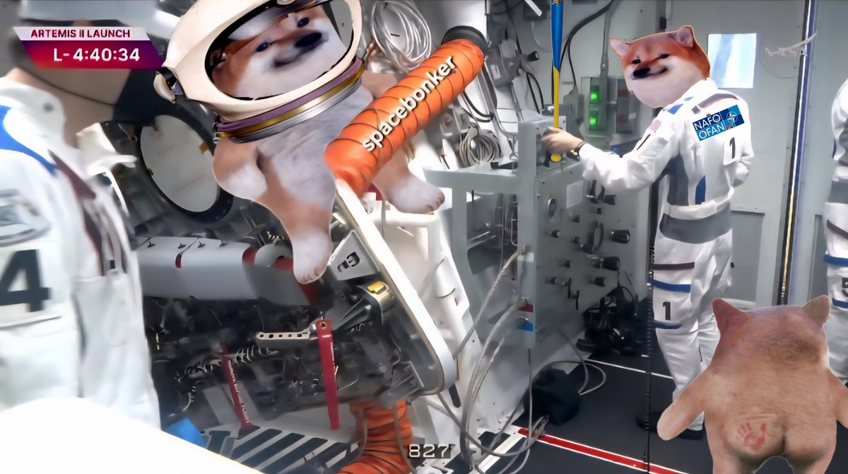 LottaLove23 tweet media