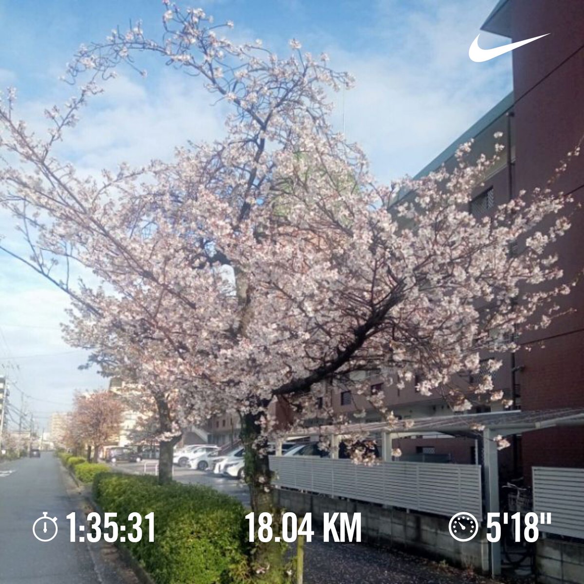 嶋村 貢樹(Kouki Shimamura) tweet media